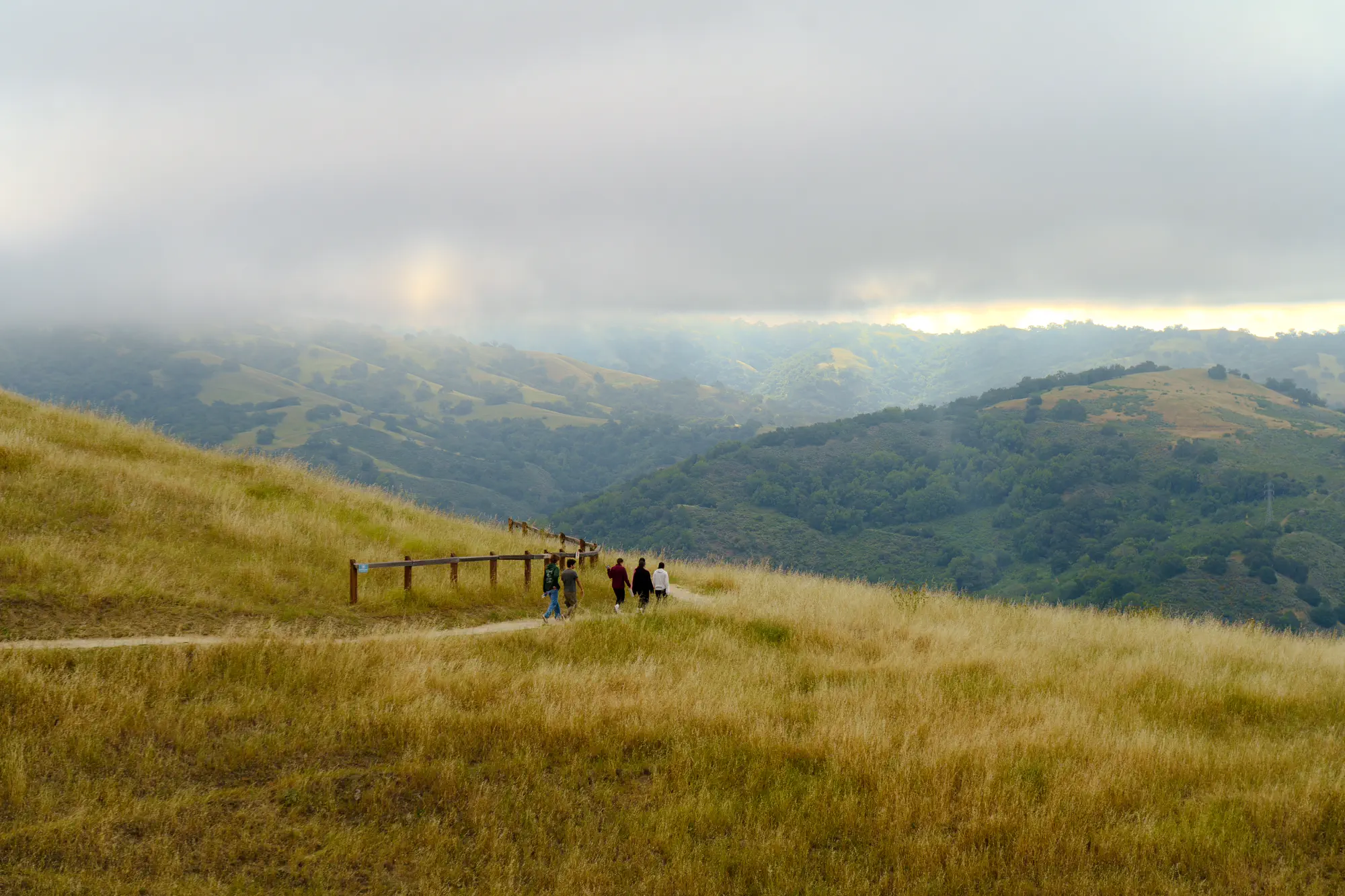 Landscape 2